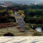 SORANO ROOFTOP BAR - 11Fインフィニティプールより望む昭和記念公園