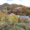 生そば 紅葉亭