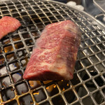 ネギタン ホルモン寺山 - 