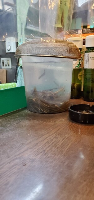 とん平 大垣 居酒屋 食べログ とん平 大垣 居酒屋 食べログ
