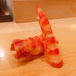 鮨 しゅん輔 - 車海老、しゃりなし