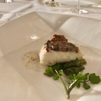 XEX TOKYO / Salvatore Cuomo Bros. - 