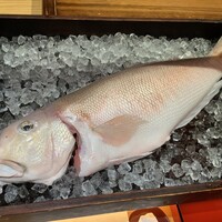 一心鮨 光洋 - 