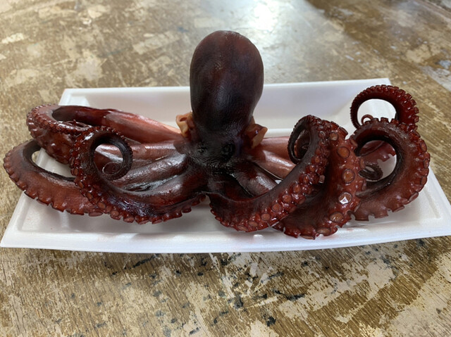 かねと商店 南知多町その他 魚介料理 海鮮料理 食べログ かねと商店 南知多町その他 魚介料理 海鮮料理 食べログ