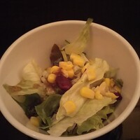 廣東料理 民生 ヒルトンプラザウエスト店 - 至高の民生名物ランチ　サラダ