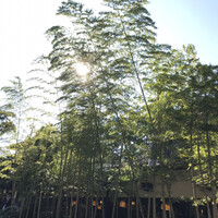 葉山 日影茶屋 - 