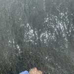 ｎｏｎびりーの - 