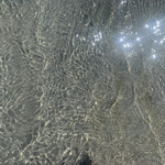 ｎｏｎびりーの - 