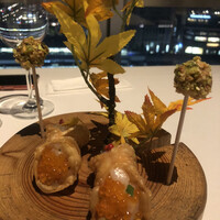 XEX TOKYO / Salvatore Cuomo Bros. - 