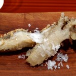 津の守坂 小柴 - 