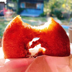 草村サイト - 歯型