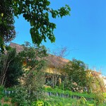 草村サイト - 下から見上げたお店