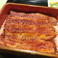 うなぎ 目白ぞろ芽 - 