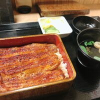 うなぎ 目白ぞろ芽 - 