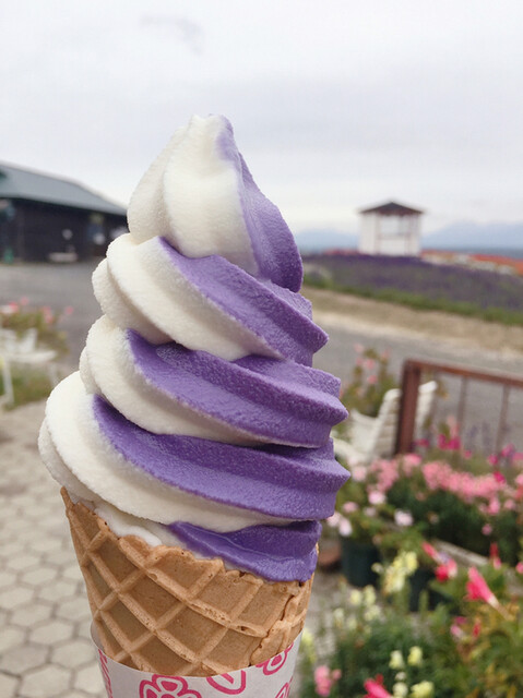 フラワーランドかみふらの売店 上富良野 その他 食べログ