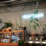 SOLA CAFE - 