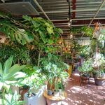 Green cafe GROUNDS - 