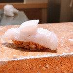 Sushi ayase - 