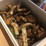 くろぎ - 国産松茸
