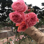 Restaurant Olivier - 