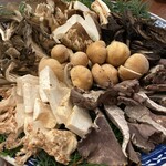 飛騨季節料理 肴 - 