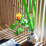 紫野和久傳 - 紅花とひおうぎ。