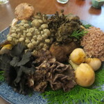 飛騨季節料理 肴 - 