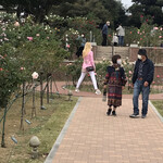 Restaurant Olivier - 