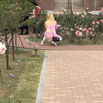 Restaurant Olivier - 