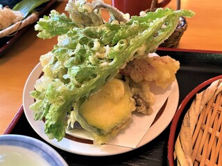 Chado Koro Asaba Noan - 野菜の天ぷら