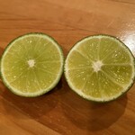 龍文支店 - 種なし