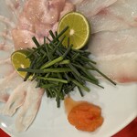 龍文支店 - 河豚白子の刺身