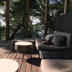 界 熱海 - ニャンコと