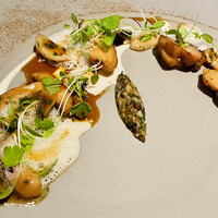 ジョンティ アッシュ - 