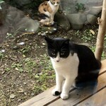 ガレージ ブルーベル - 