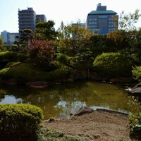 日本料理　雲海 - 