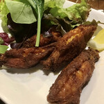 ビストロ ティアボ - 