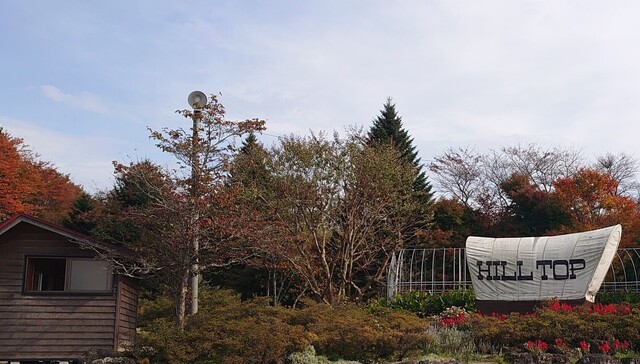 ヒルトップ（ＨＩＬＬＴＯＰ） - 矢越（ステーキ）の写真