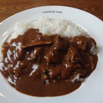 ヨークシャーファーム - 子羊のカレー 900円(税別)