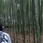 ムニ キョウト - 近所の竹林の小径、人力車は地域クーポン紙・電子使えます。