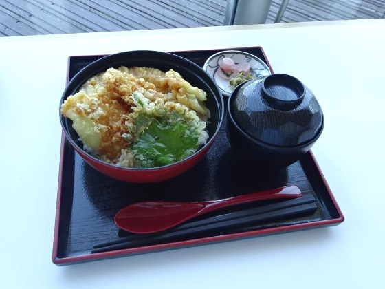 にほのうみ 滋賀県立琵琶湖博物館内 おごと温泉 天丼 天重 食べログ