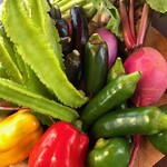 イル カンパネッロ - 静岡県三島市「広川農園」さんから届く産直野菜！