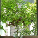 手打ち蕎麦処 あき津 - 