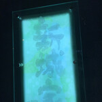 地酒酒肴 新城家 - 