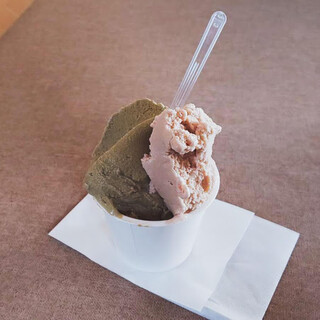 南紀白浜オリーブ&ジェラート工房_1