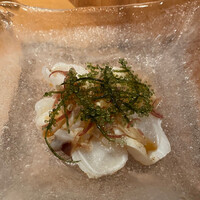 SHIKAKU - 