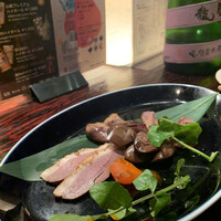 鳥ばか一代 - 
