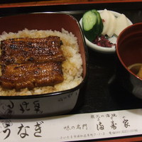 満寿家 - うなぎランチ