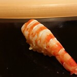 鮨 むらやま - 車海老