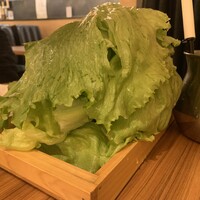 しゃぶしゃぶ・創作料理居酒屋 豚吟 栄店 - レタス